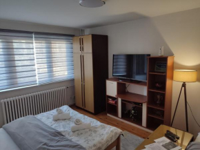 Apartman Toljaga Pale